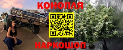 крисы Туймазы