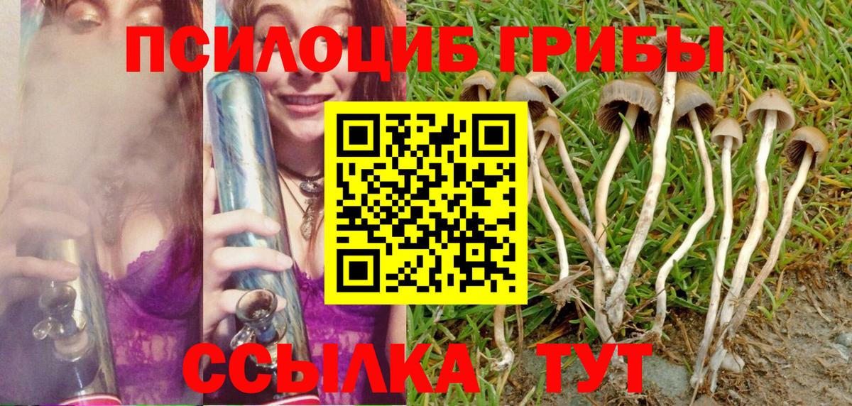 Лыткарино  Псилоцибиновые грибы ЛСД  Галлюциногенные грибы Cubensis  Вход с VPN 
